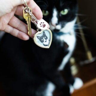 Silver Pet Locket Keychain