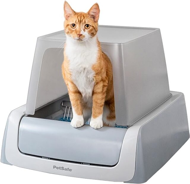 PetSafe Self-Cleaning Cat Litter Box - Grey