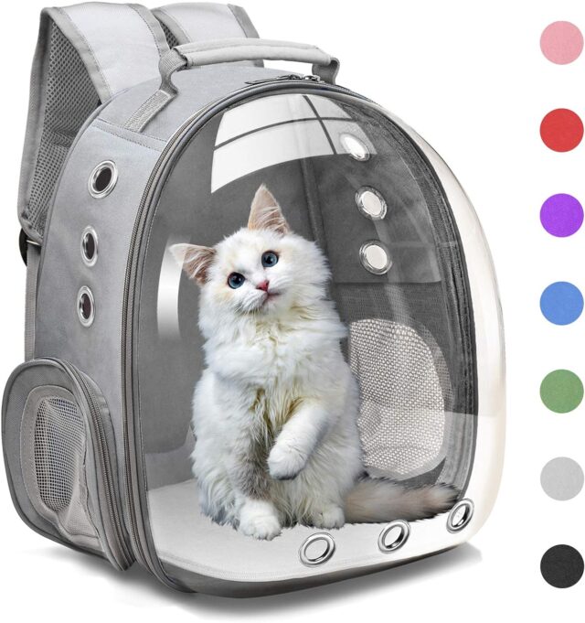 Pet Bubble Carrying Bag