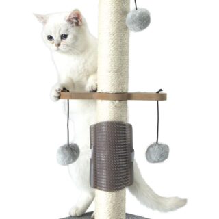 Cat Scratching Post: Perfect for Indoor Kittens and Small Cats