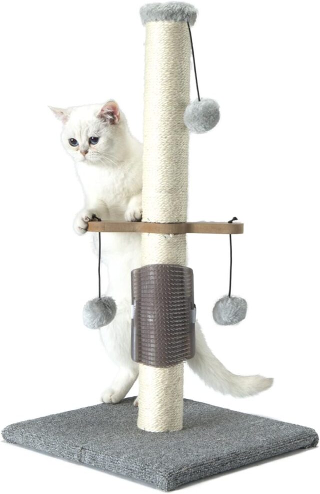 Cat Scratching Post: Perfect for Indoor Kittens and Small Cats