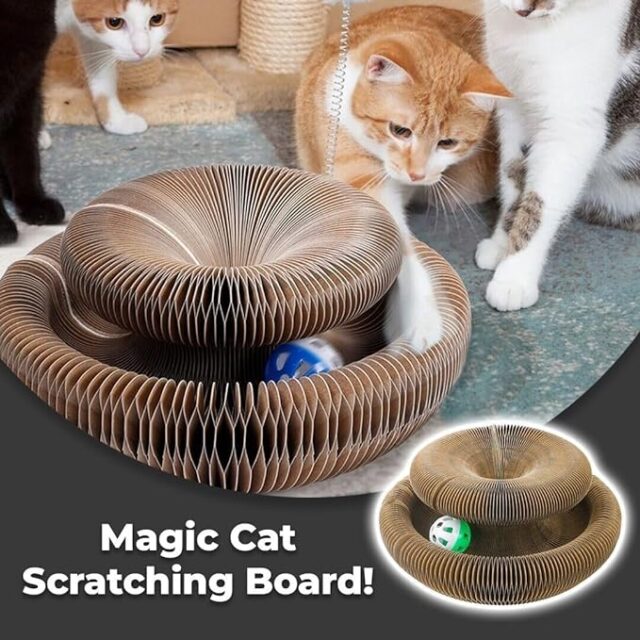 Cat Scratching Pad - Pet Randoms Main Image